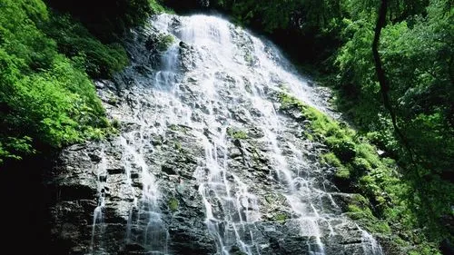 高标准自动化
